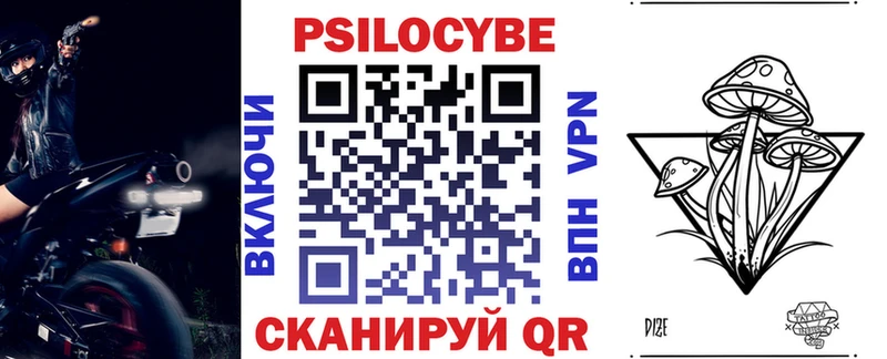 дарнет шоп  Кудымкар  Галлюциногенные грибы Cubensis 
