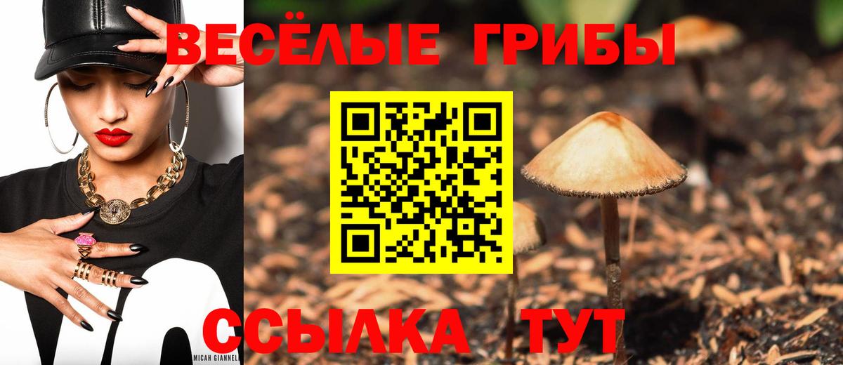 Псилоцибиновые грибы Magic Shrooms Кудымкар
