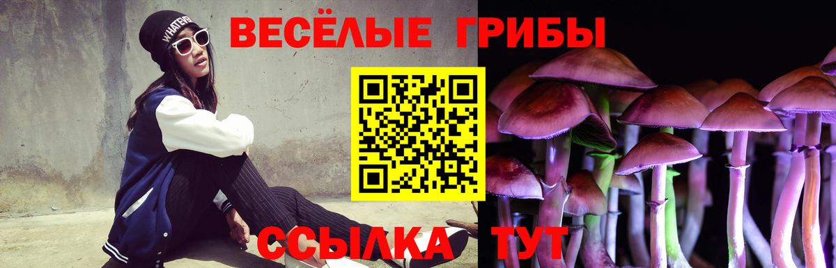 Галлюциногенные грибы мицелий  Галлюциногенные грибы Magic Shrooms  Кудымкар  Вход с VPN 