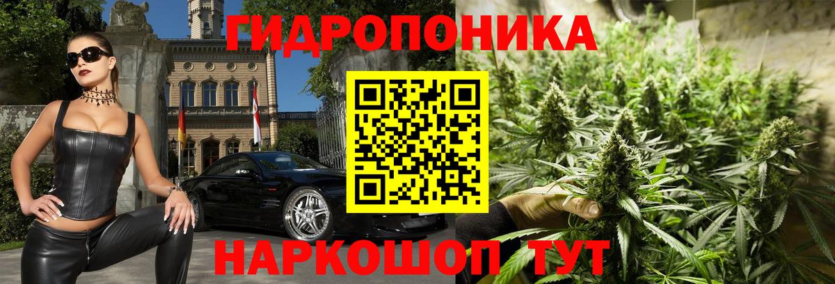 Бошки Шишки ГИДРОПОН  Каннабис ГИДРОПОН  Кудымкар  Вход с VPN 